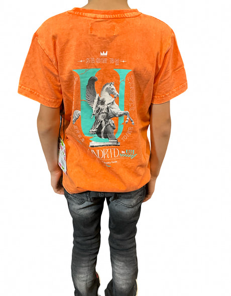UNDRTD KIDS T-SHIRT TRUE LEADEARS WASHED MULITIPLE COLORS