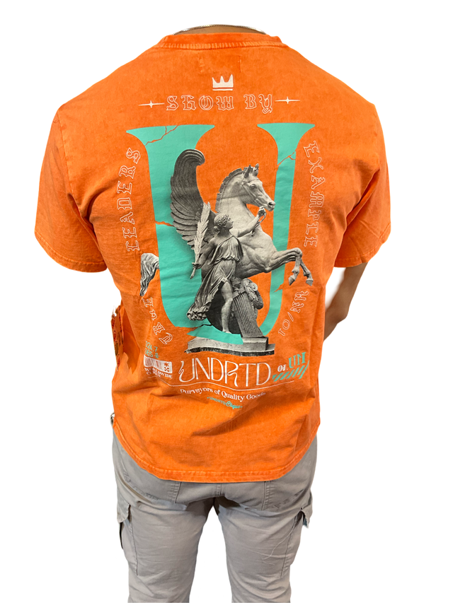 UNDRTD TRUE LEADERS T-SHIRT MULTI COLORS