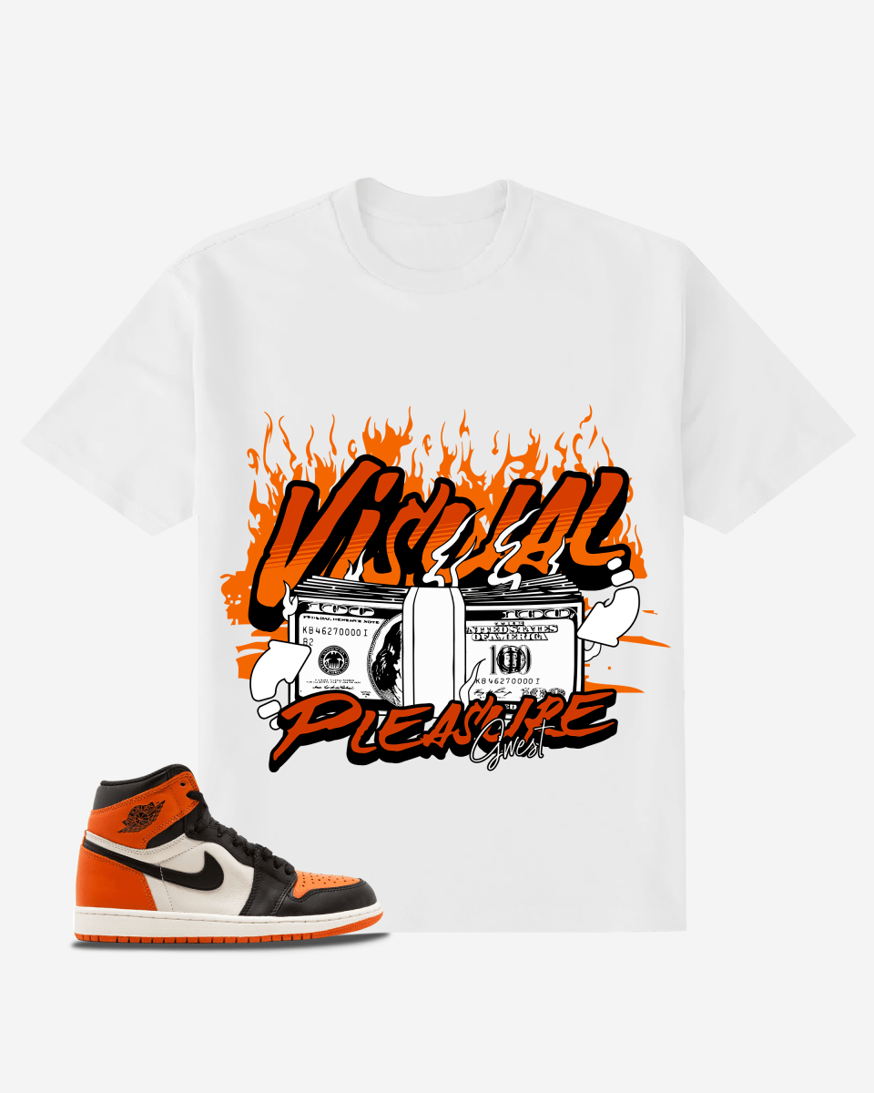 Visual Pleasure Oversized T-Shirt