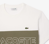 Olive Green Cotton Shorts by Lacoste