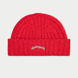 GODSPEED OG EMBLEM BEANIES MULTI COLORS